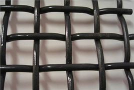 安平縣星沃絲網(wǎng)制品