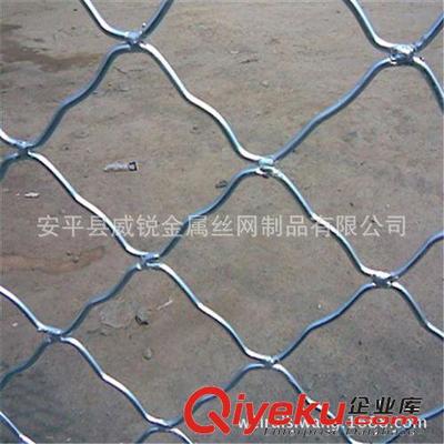 廠家直銷東北地區.圈玉米美格網.圈棒子美格網,美格網價格-安平縣威銳金屬絲網制品提供廠家直銷東北地區.圈玉米美格網.圈棒子美格網,美格網價格的相關介紹、產品、服務、圖片、價格安平縣威銳金屬絲網制品、鐵絲網;護欄網;隔離柵;防護網;牛欄網;荷蘭網;軋花網;草原網;勾花網;刀片刺繩網;防風抑塵網;沖孔網;建筑網片;美格網;鋼板網;鐵藝護欄網;鋼格板;不銹鋼網;石籠網;礦篩網