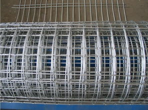 安平1.5m圈地大絲電焊網(wǎng)批發(fā)價(jià)格 大絲包塑電焊網(wǎng)