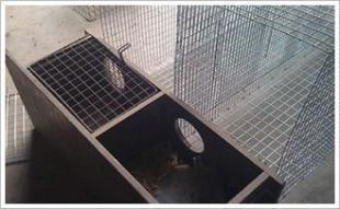 安平大偉網(wǎng)業(yè) 安平水貂籠子 絲網(wǎng)制品金屬絲網(wǎng)廠_五金、工具_(dá)世界工廠網(wǎng)