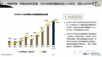 2016年中國股權(quán)投資市場(chǎng)回顧與展望 融資咨詢服務(wù)的機(jī)遇與挑戰(zhàn)