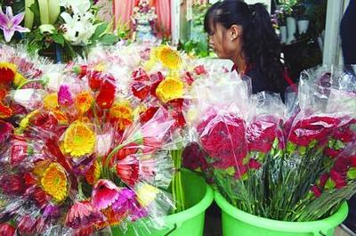 教師節(jié)鮮花熱賣 禮品花卉銷售熱潮中的情感與商機(jī)