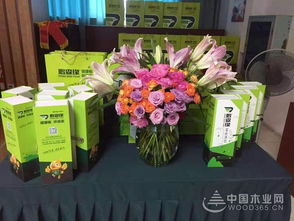 共謀發(fā)展，鵬森緣柳州客戶交談會盛大舉行，禮品花卉銷售迎春綻放